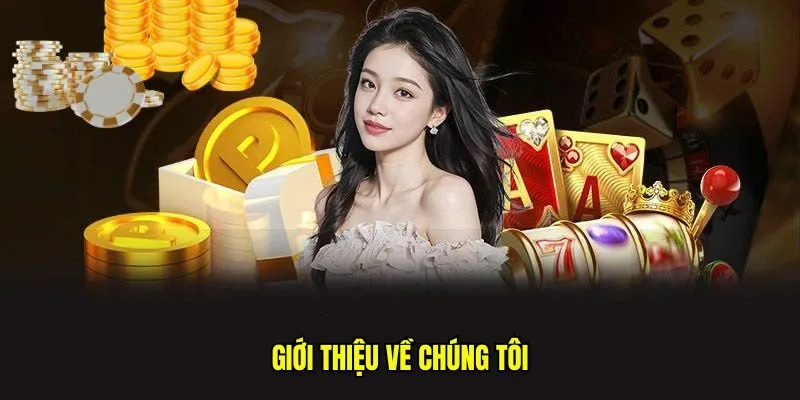 Giới thiệu về chúng tôi